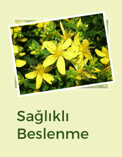 elif naturel